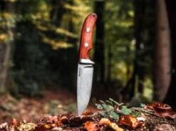 Böker Savannah Cocobolo -Böker 120320 5