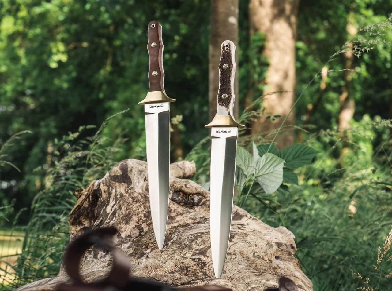 Colmillo Guayacan 6 Colmillo Guayacan – Bild 4