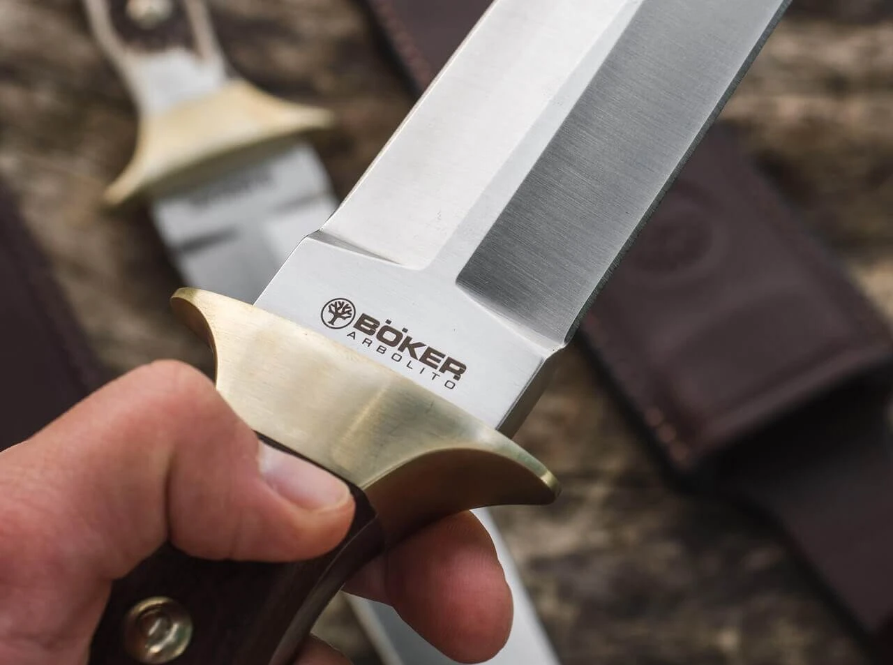 Colmillo Guayacan 9 Colmillo Guayacan – Bild 7