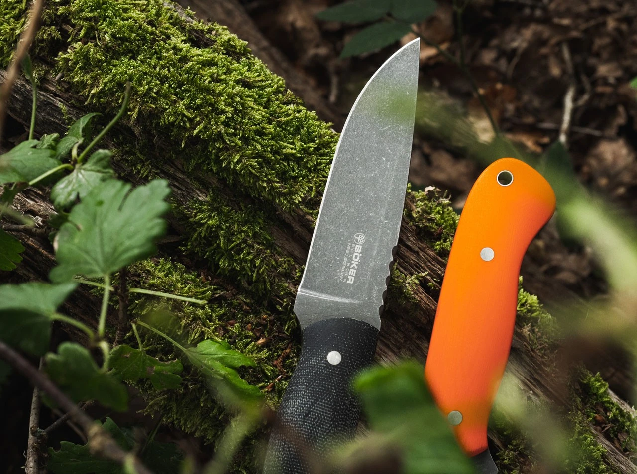 Drikas Orange 10 Drikas Orange – Bild 8