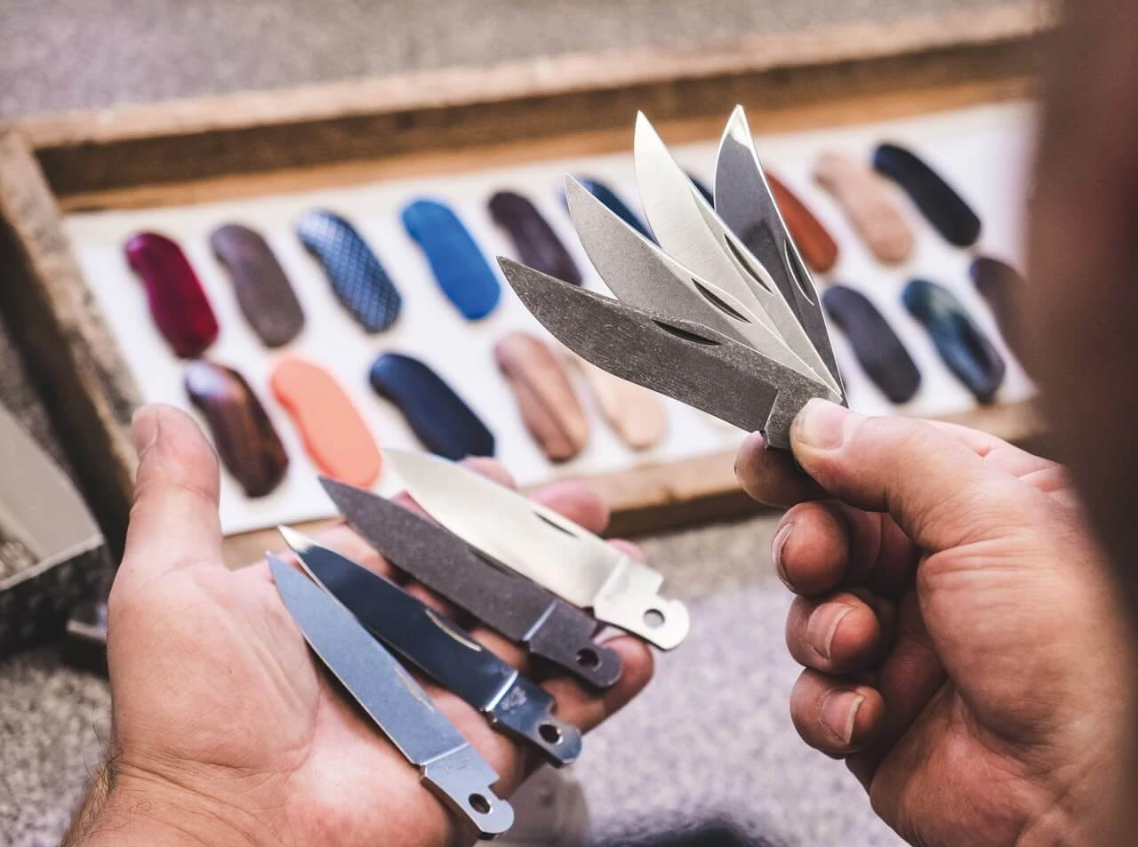 Scout Individuell 5 Scout Individuell – Bild 3