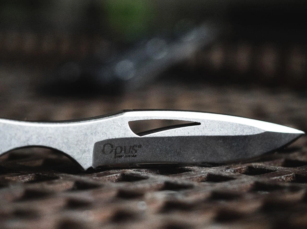 Islero 9 Islero – Bild 7