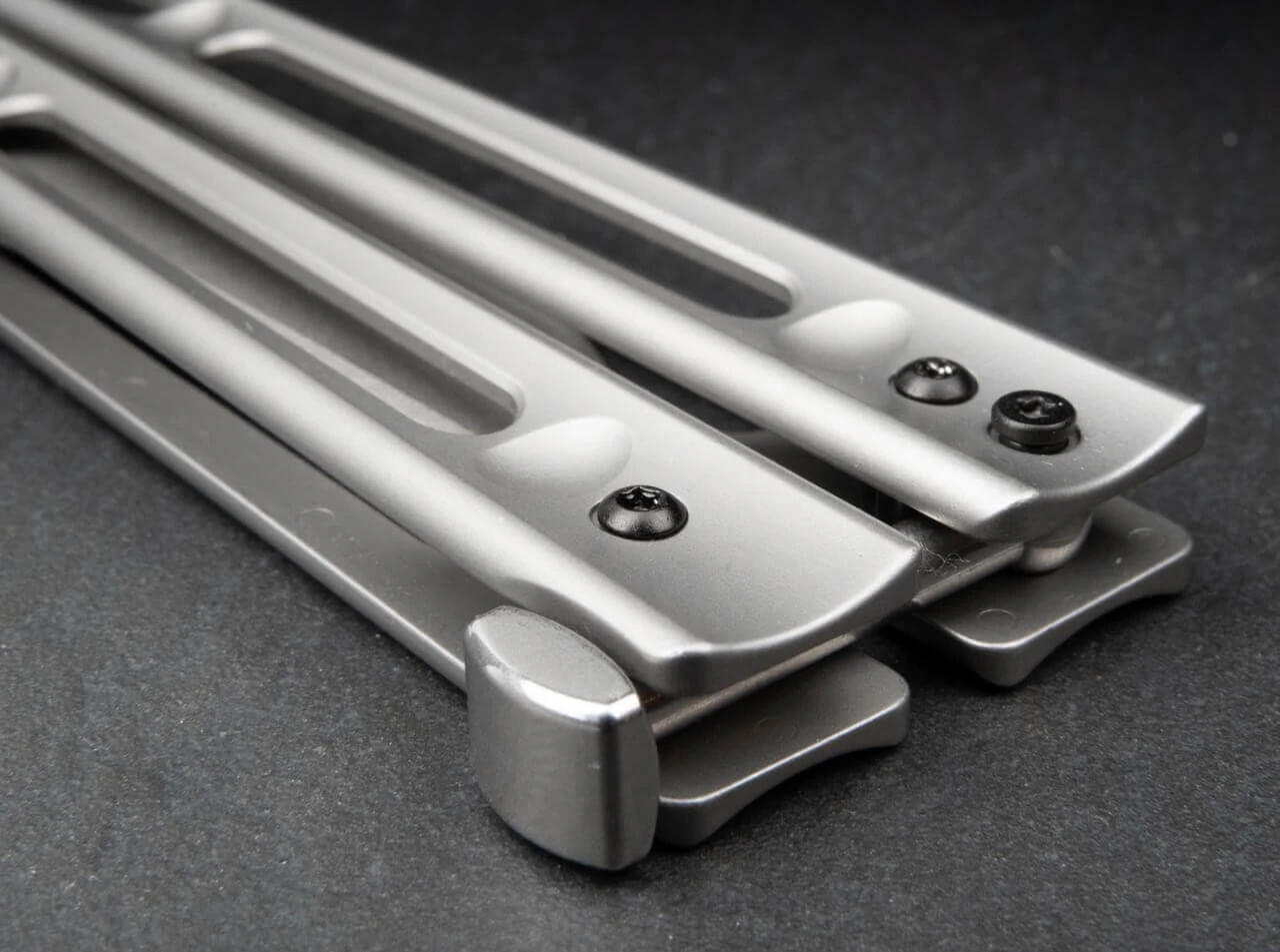 Papillon 6 Papillon – Bild 4